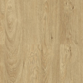 Ламінат Tarkett Дуб Мускатний | 42252436 Ламінат Tarkett Дуб Мускатний | 42252436