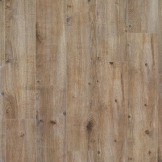 Ламінат Grandeco Дуб матовий 3798 Ламінат Grandeco Дуб матовий 3798