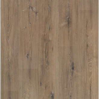 Ламінат Grandeco Дуб Кабін | 3351 Ламінат Grandeco Дуб Кабін | 3351