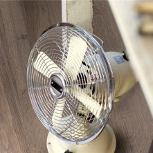 Ламінат Pergo Classic Plank L0601-01830 Domestic Elegance Launge Oak, 3-strip Ламінат Pergo Classic Plank L0601-01830 Domestic Elegance Launge Oak, 3-strip