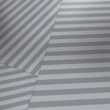 Ламінат Parador Edition 1 1371377 Piero Lissoni Optical Ламінат Parador Edition 1 1371377 Piero Lissoni Optical