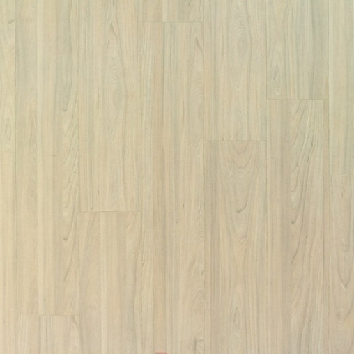 Ламінат Berry Alloc Raspberry 4V 6200016 В'яз ваніль