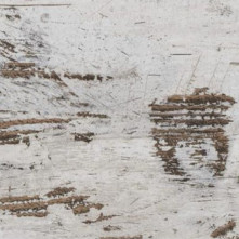 Ламінат Classen Whitewashed Oak