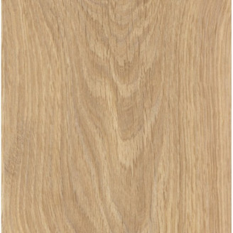 Ламінат Kastamonu Floorpan Дуб алжирський кремовий | BLU33TV-FP41 Ламінат Kastamonu Floorpan Дуб алжирський кремовий | BLU33TV-FP41