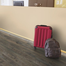 Ламинат Kaindl Сосна Мадера Бланда | K4427 Ламинат Kaindl Сосна Мадера Бланда | K4427