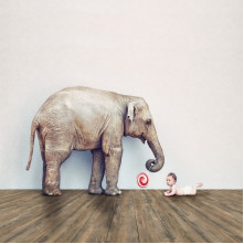 Виниловая плитка пвх ADO FLOOR Exclusive Wood Series замок | 2020