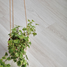 Вінілова плитка пвх IVC French Oak | 22116