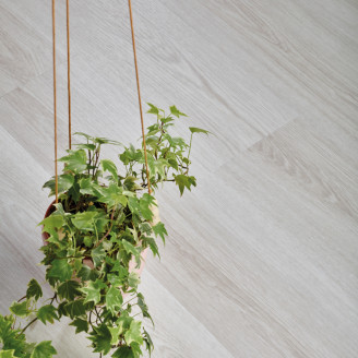 Вінілова плитка пвх IVC French Oak | 22116 Вінілова плитка пвх IVC French Oak | 22116