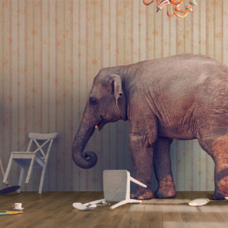 Ламінат Kronotex Evolution Дуб літній | 3901 Ламінат Kronotex Evolution Дуб літній | 3901