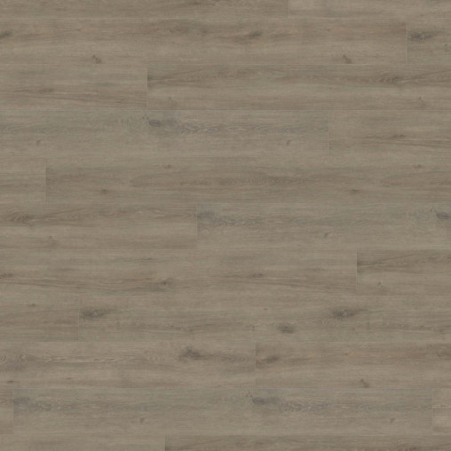 Ламінат HARO Oak Veneto Mocca | 541521