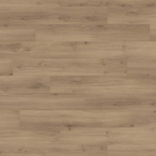 Ламінат HARO Oak Emilia Puro | 540243