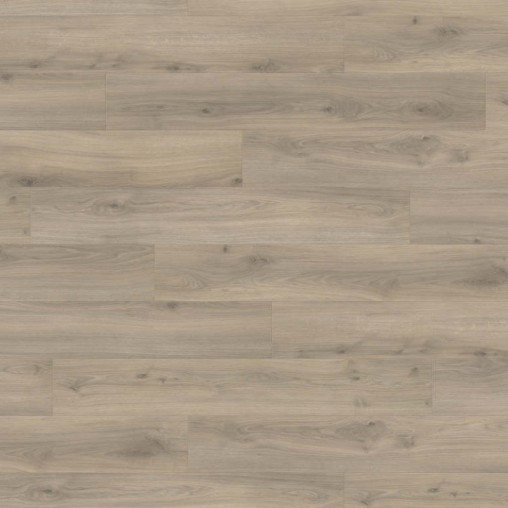 Ламінат HARO Oak Emilia Velvet Grey | 540244