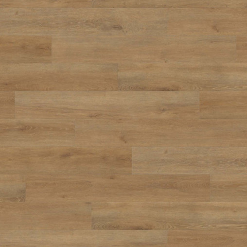 Ламінат HARO Oak Veneto Nature | 540246