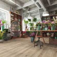 Ламінат Swiss Krono Дуб Венеція | 6201 Ламінат Swiss Krono Дуб Венеція | 6201