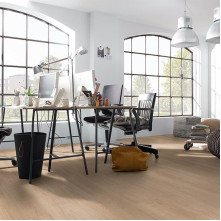 Ламинат Kronotex Standart Plus Дуб Финлей | 90112 Ламинат Kronotex Standart Plus Дуб Финлей | 90112