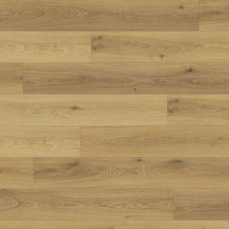 Ламінат EGGER Дуб Трилогія натуральний | H2810 Ламінат EGGER Дуб Трилогія натуральний | H2810