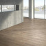 Ламінат Parador Basic 400 Дуб Карамель 1х | 1748176