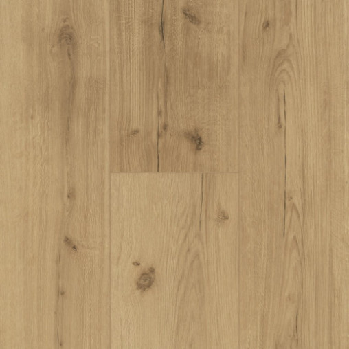 Вінілова плитка пвх Parador Basic 5.3 Oak Infinity natural | 1744607