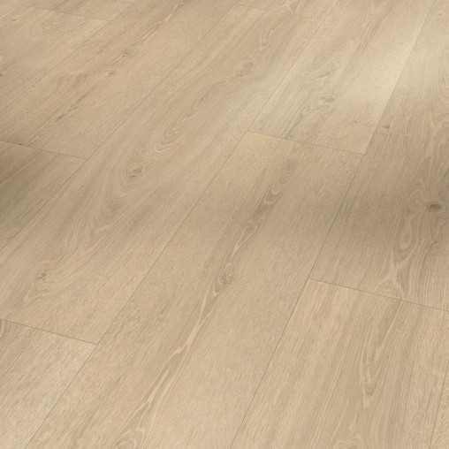 Вінілова плитка пвх Parador Basic 5.3 Oak Studioline sanded | 1743008