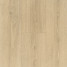 Вінілова плитка пвх Parador Basic 5.3 Oak Studioline sanded | 1743008