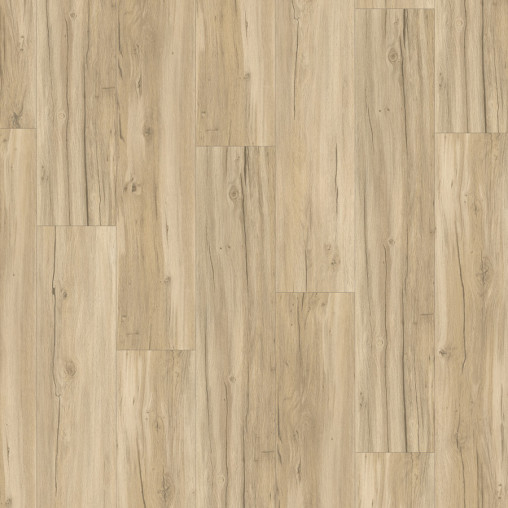 Вінілова плитка пвх Parador Basic 5.3 Oak Memory sanded | 1743002