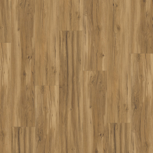 Вінілова плитка пвх Parador Basic 5.3 Oak Memory natural | 1743003