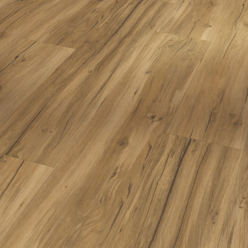 Вінілова плитка пвх Parador Basic 5.3 Oak Memory natural | 1743003