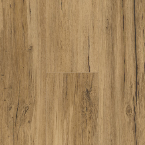Вінілова плитка пвх Parador Basic 5.3 Oak Memory natural | 1743003