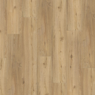 Вінілова плитка пвх Parador Basic 5.3 Дуб Natural Brushed | 1743004 Вінілова плитка пвх Parador Basic 5.3 Дуб Natural Brushed | 1743004