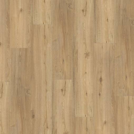 Вінілова плитка пвх Parador Basic 5.3 Oak Natural Brushed | 1743004 Вінілова плитка пвх Parador Basic 5.3 Oak Natural Brushed | 1743004