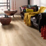 Вінілова плитка пвх Parador Basic 5.3 Royal Oak light limed | 1743006