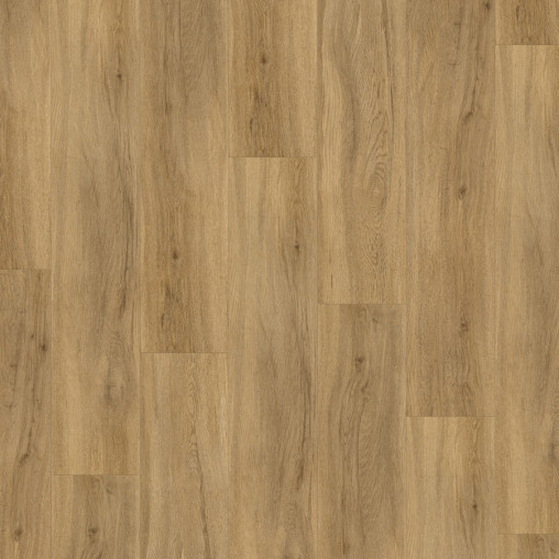 Вінілова плитка пвх Parador Basic 5.3 Oak Sierra natural | 1743007