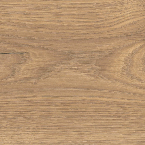 Ламінат HARO Oak Flavia Nature auth. | 544708