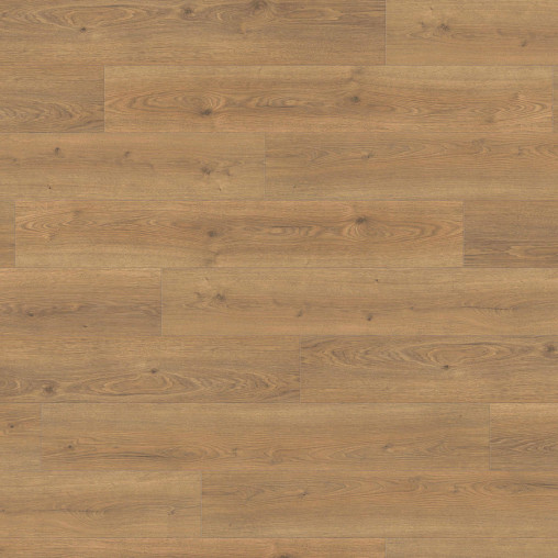 Ламінат HARO Oak Flavia Nature auth. | 544708