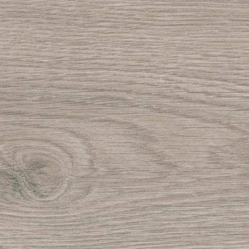 Ламінат HARO Oak Flavia Grey auth. | 544702