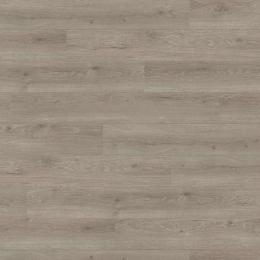 Ламінат HARO Oak Flavia Grey auth. | 544702