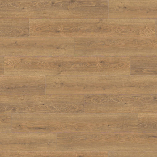 Ламінат HARO Oak Flavia Nature auth. | 544766