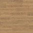 Ламінат HARO Oak Flavia Nature auth. | 544766