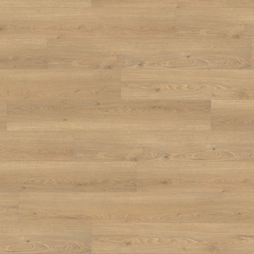 Ламінат HARO Oak Flavia Puro auth. | 544769