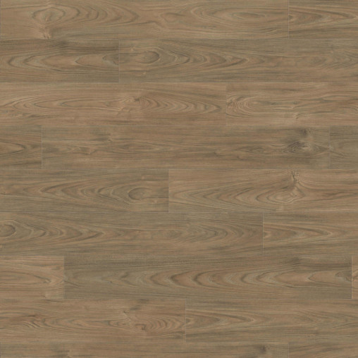 Ламінат HARO Elm Vario auth. soft | 544784