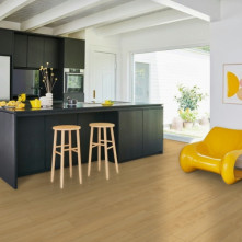 Ламинат Parador TrendTime 1 Дуб Монт Бланк натуральный | 1748707 Ламинат Parador TrendTime 1 Дуб Монт Бланк натуральный | 1748707