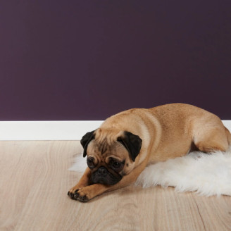 Плінтус NMC дюрополімерний FT2F WallStyl RAL9016 | 3013093