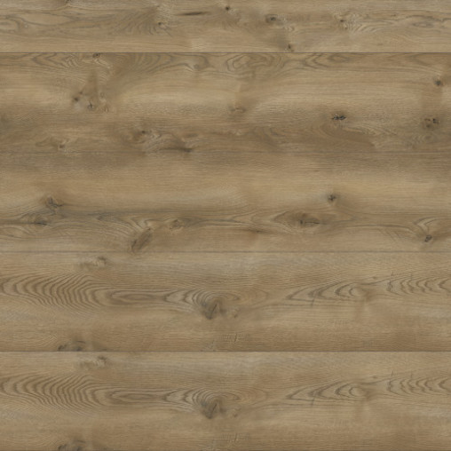 Ламінат Classen Evolution 4V WR Albiano Oak | 63127