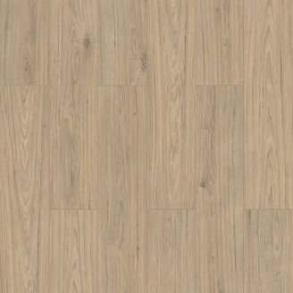 Ламінат Kastamonu Wings 4V WR Hawk | SW003 Ламінат Kastamonu Wings 4V WR Hawk | SW003