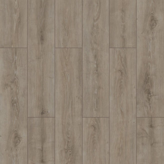 Ламінат Kastamonu Wings 4V WR Parrot | SW007 Ламінат Kastamonu Wings 4V WR Parrot | SW007