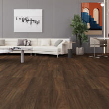 Ламинат Kastamonu Classic plus Lussac Ash | KT502