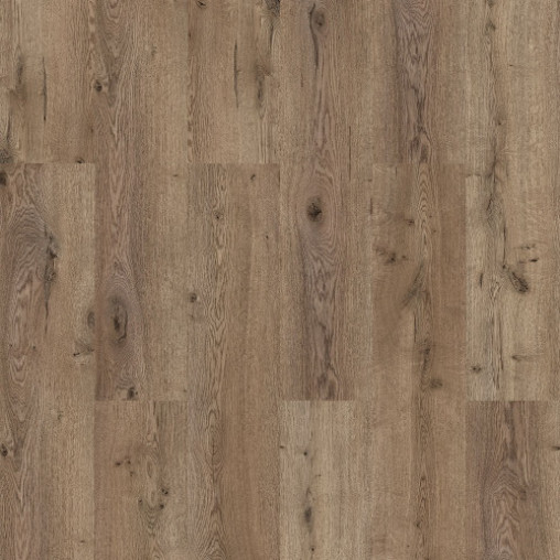 Ламінат Kastamonu Classic Summer Oak | KT210