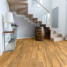 Вінілова плитка пвх SPC Korner Solid floor Дуб Титан | 2509
