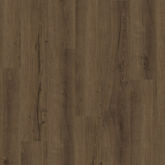 Вінілова плитка пвх Parador Basic 5.3 Дуб Cambridge smoked | 1748826 Вінілова плитка пвх Parador Basic 5.3 Дуб Cambridge smoked | 1748826