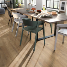 Ламинат EGGER Classic 33 Дуб Лойа медовый | EL2155.1784337